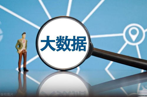 網(wǎng)絡(luò)安全軟件國產(chǎn)化 大數(shù)據(jù)時(shí)代下，八朵“金花”如何引領(lǐng)風(fēng)潮